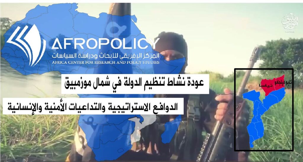 مقاتل من تنظيم ولاية موزمبيق
