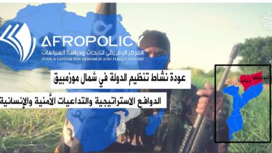 مقاتل من تنظيم ولاية موزمبيق