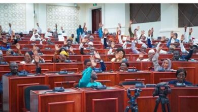 البرلمان التشادي