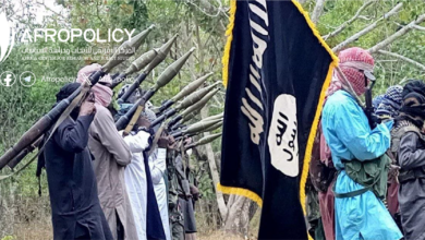 تنظيم الدولة الإسلامية في وسط إفريقيا