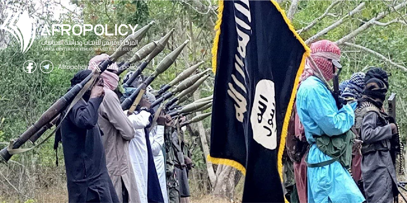 تنظيم الدولة الإسلامية في وسط إفريقيا