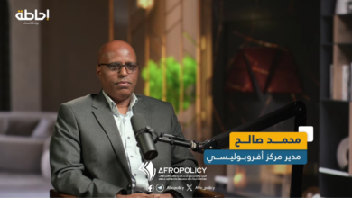 أرض الصومال ومشاريع تفتيت الصومال