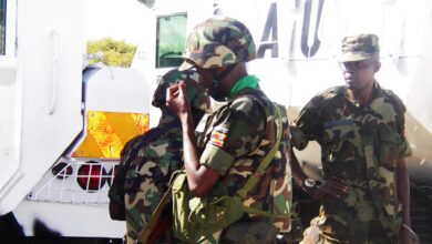 الأمن الإقليمي