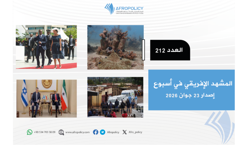 ‏‏المشهد الإفريقي