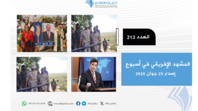 المشهد الإفريقي العدد 213