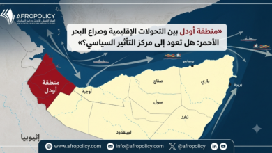 منطقة أودل بين التحولات الإقليمية وصراع البحر الأحمر