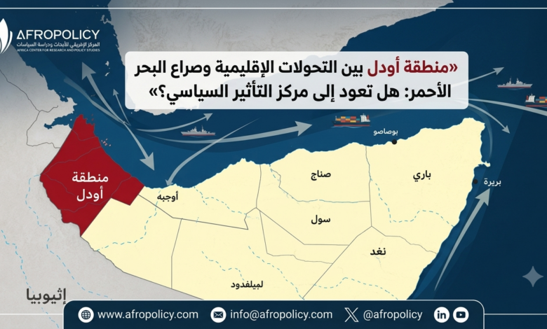 منطقة أودل بين التحولات الإقليمية وصراع البحر الأحمر