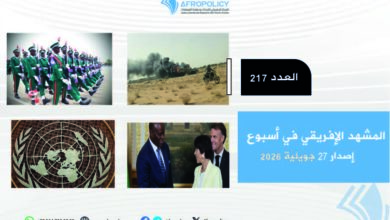 المشهد الإفريقي العدد 217