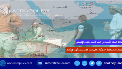 تحولات البيئة الأمنية في البحر الأحمر والقرن الإفريقي