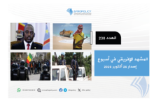 المشهد الإفريقي العدد 230